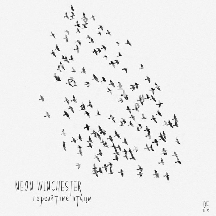 NW-Birds-Cover